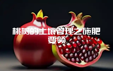 桃树的土壤管理之施肥要领-会东网