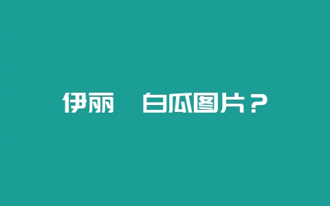 伊丽莎白瓜图片？-会东网