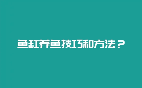 鱼缸养鱼技巧和方法？-会东网