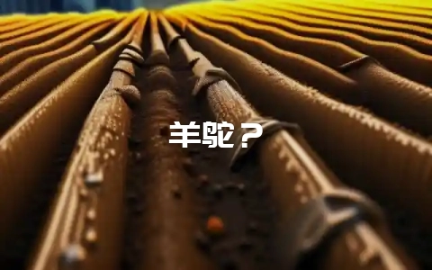 羊鸵？-会东网