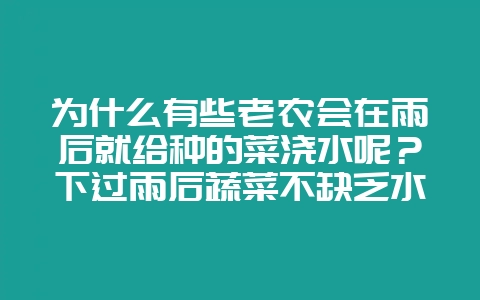 为什么有些老农会在雨后就给种的菜浇水呢?下过雨后蔬菜不缺乏水分,为什么要浇水?插图 为什么有些老农会在雨后就给种的菜浇水呢?下过雨后蔬菜不缺乏水分,为什么要浇水?插图