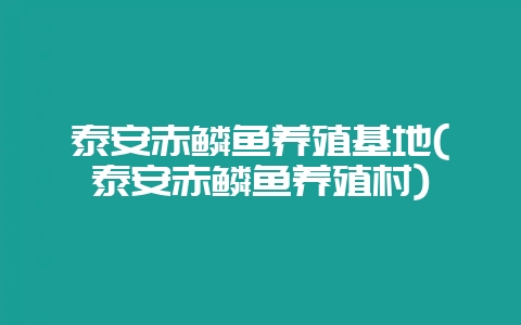 泰安赤鳞鱼养殖基地(泰安赤鳞鱼养殖村)-会东网