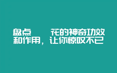 盘点枇杷花的神奇功效和作用，让你惊叹不已-会东网