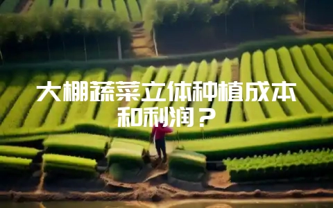 大棚蔬菜立体种植成本和利润？-会东网