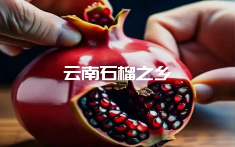 云南石榴之乡-会东网