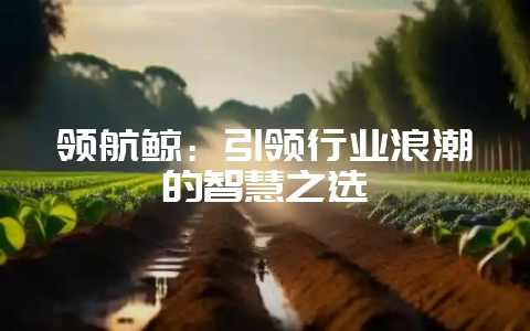 领航鲸：引领行业浪潮的智慧之选-会东网