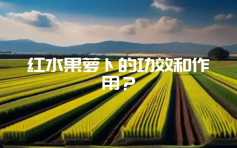 红水果萝卜的功效和作用?插图 红水果萝卜的功效和作用?插图