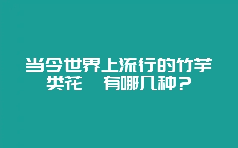 当今世界上流行的竹芋类花卉有哪几种？-会东网