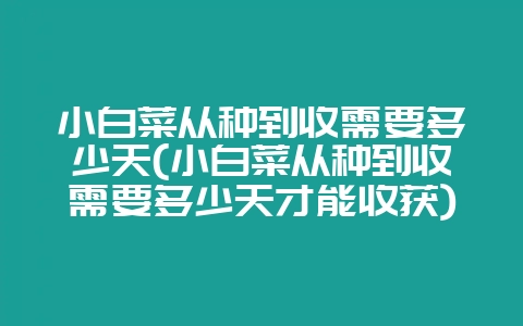 小白菜从种到收需要多少天(小白菜从种到收需要多少天才能收获)-会东网