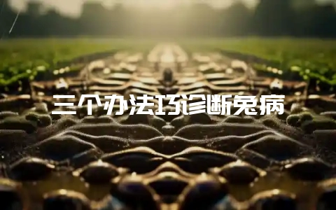 三个办法巧诊断兔病插图 三个办法巧诊断兔病插图