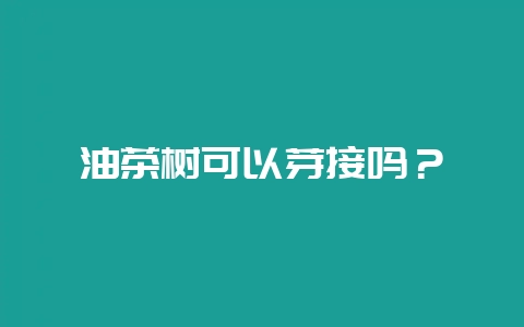 油茶树可以芽接吗？-会东网