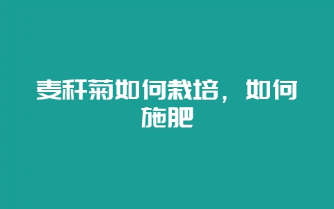 麦秆菊如何栽培，如何施肥-会东网
