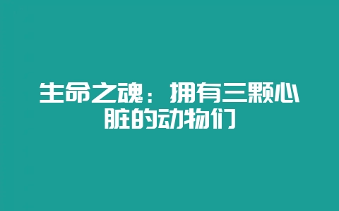 生命之魂：拥有三颗心脏的动物们-会东网