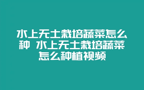 水上无土栽培蔬菜怎么种 水上无土栽培蔬菜怎么种植视频-会东网
