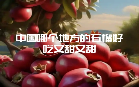 中国哪个地方的石榴好吃又甜又甜-会东网
