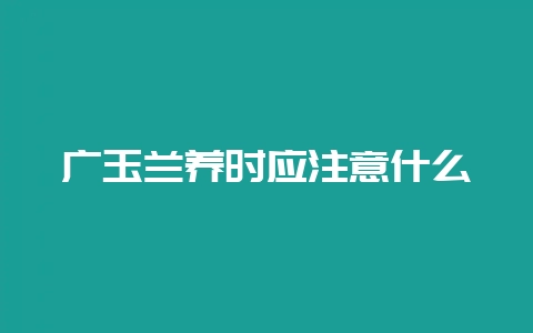 广玉兰养时应注意什么-会东网