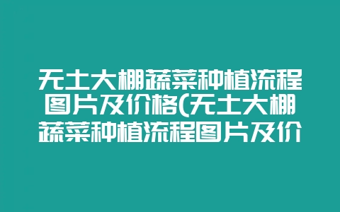 无土大棚蔬菜种植流程图片及价格(无土大棚蔬菜种植流程图片及价格表)-会东网