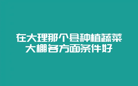 在大理那个县种植蔬菜大棚各方面条件好-会东网