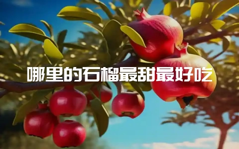 哪里的石榴最甜最好吃-会东网
