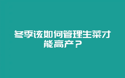 冬季该如何管理生菜才能高产？-会东网