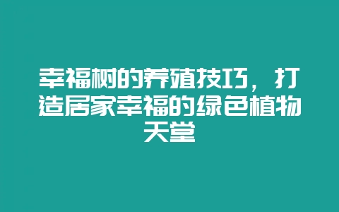 幸福树的养殖技巧，打造居家幸福的绿色植物天堂-会东网
