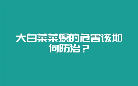 大白菜菜螟的危害该如何防治？-会东网