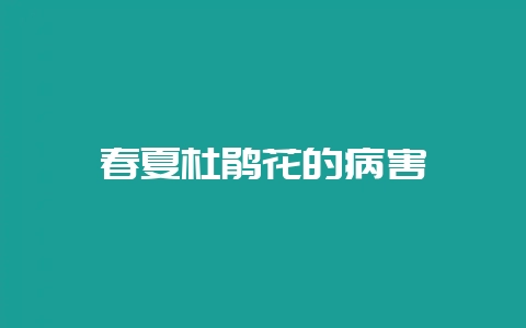 春夏杜鹃花的病害-会东网