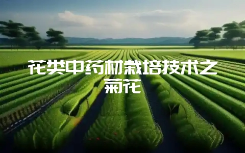 花类中药材栽培技术之菊花插图 花类中药材栽培技术之菊花插图