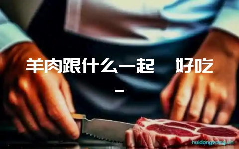 羊肉跟什么一起炖好吃_-会东网