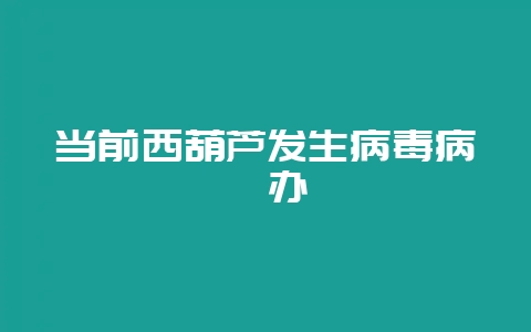 当前西葫芦发生病毒病咋办插图 当前西葫芦发生病毒病咋办插图