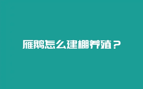 雁鹅怎么建棚养殖？-会东网