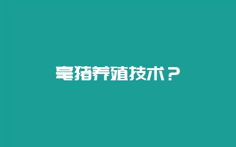 毫猪养殖技术？-会东网