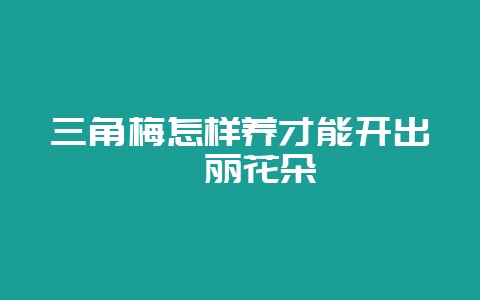 三角梅怎样养才能开出绚丽花朵-会东网