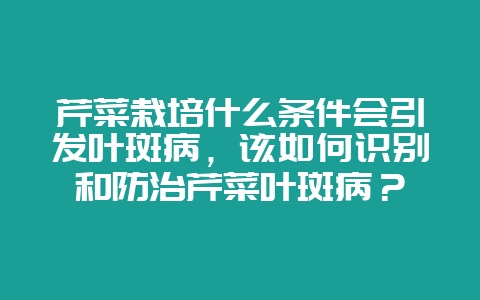 芹菜栽培什么条件会引发叶斑病,该如何识别和防治芹菜叶斑病?插图 芹菜栽培什么条件会引发叶斑病,该如何识别和防治芹菜叶斑病?插图