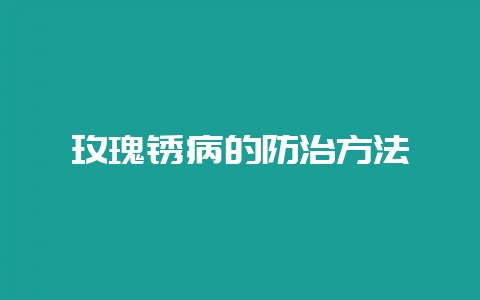 玫瑰锈病的防治方法-会东网