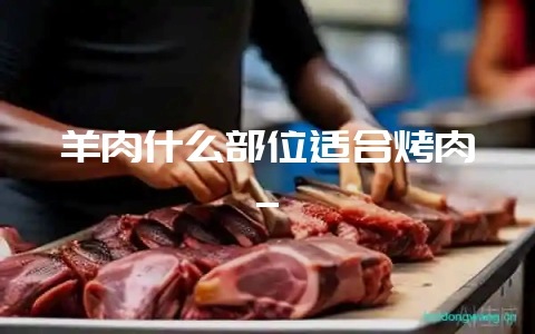 羊肉什么部位适合烤肉_-会东网