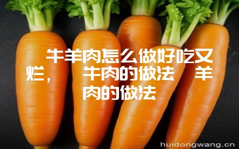 炖牛羊肉怎么做好吃又烂，炖牛肉的做法炖羊肉的做法-会东网