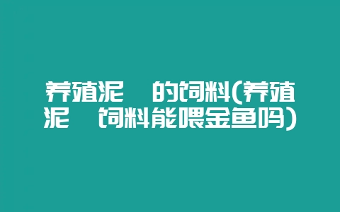 养殖泥鳅的饲料(养殖泥鳅饲料能喂金鱼吗)-会东网