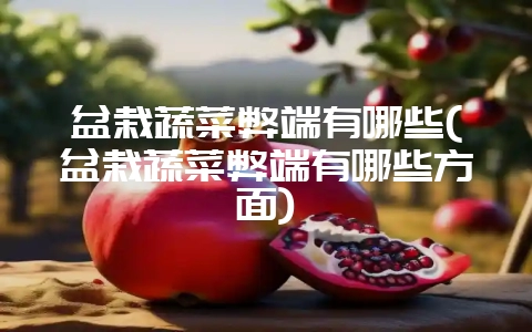 盆栽蔬菜弊端有哪些(盆栽蔬菜弊端有哪些方面)-会东网