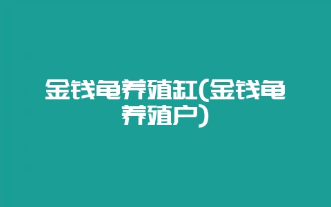 金钱龟养殖缸(金钱龟养殖户)-会东网