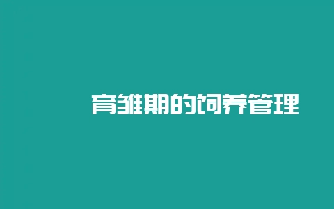 鹧鸪育雏期的饲养管理-会东网