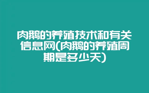 肉鹅的养殖技术和有关信息网(肉鹅的养殖周期是多少天)-会东网