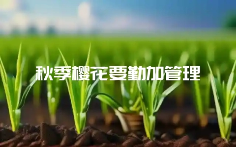 秋季樱花要勤加管理-会东网