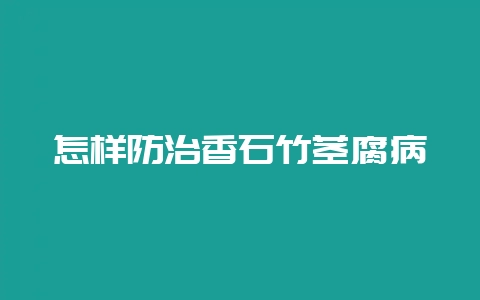 怎样防治香石竹茎腐病插图 怎样防治香石竹茎腐病插图