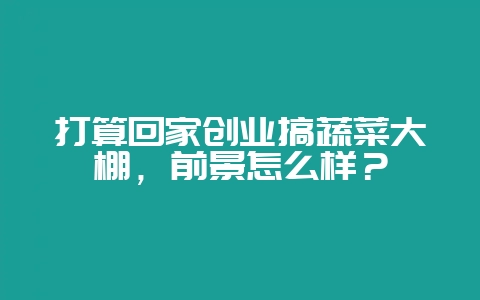 打算回家创业搞蔬菜大棚,前景怎么样?插图 打算回家创业搞蔬菜大棚,前景怎么样?插图