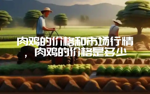 肉鸡的价格和市场行情，肉鸡的价格是多少-会东网