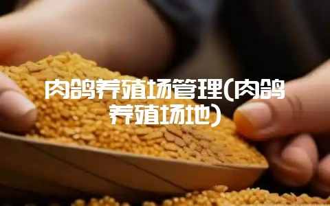 肉鸽养殖场管理(肉鸽养殖场地)-会东网