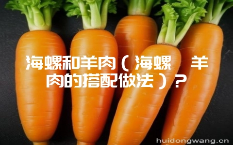 海螺和羊肉（海螺炖羊肉的搭配做法）？-会东网