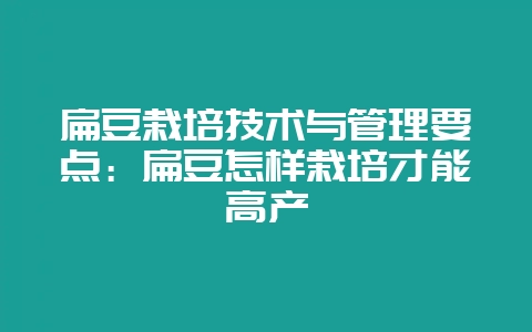扁豆栽培技术与管理要点：扁豆怎样栽培才能高产-会东网