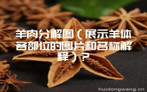 羊肉分解图（展示羊体各部位的图片和名称解释）？-会东网